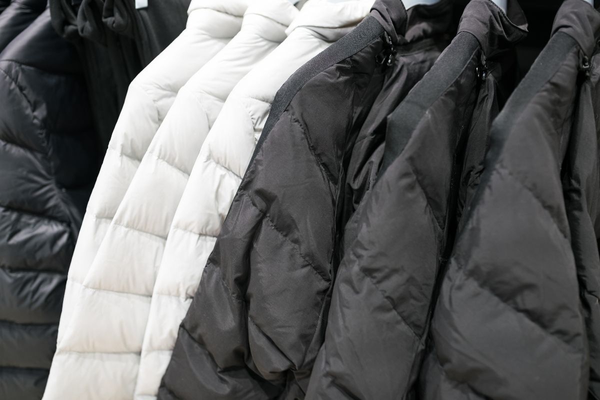 Duck Down Jackets Jargon: Everything you need to know. - Duck Apparel